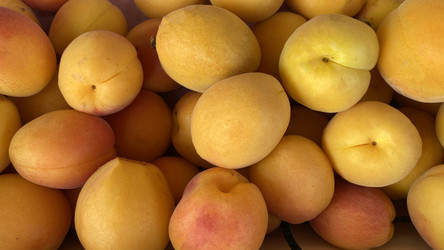 Similar image 21199845