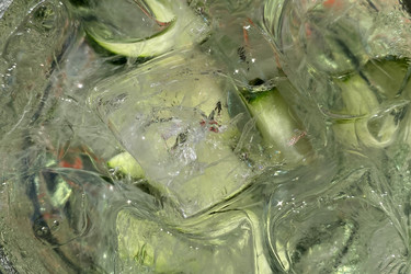 Similar image 21199847