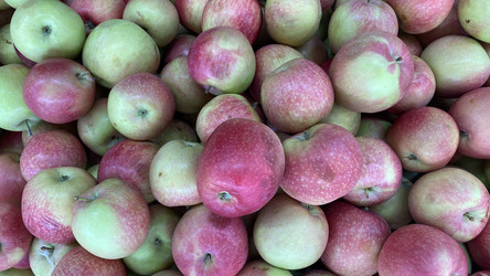 Similar image 21202775