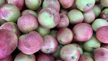 Similar image 21201211