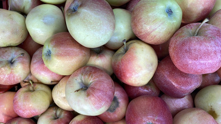 Similar image 21199848