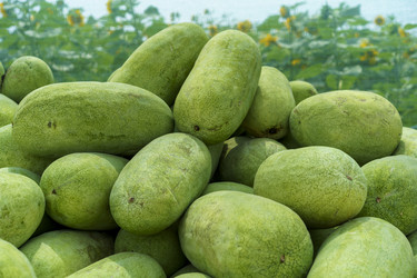 Similar image 21202776