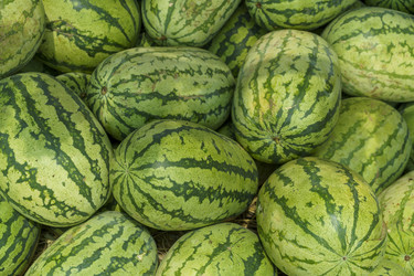 Similar image 21202778