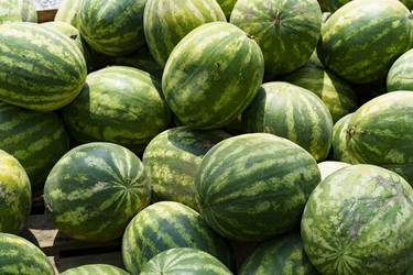 Similar image 21201212