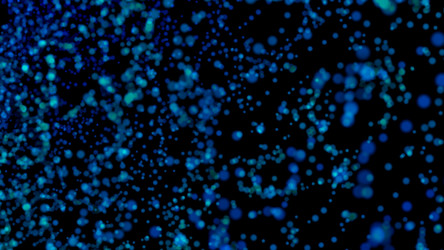 Similar image 21200626