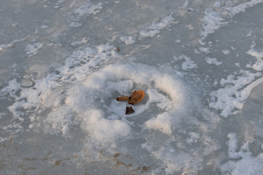 Similar image 21200634