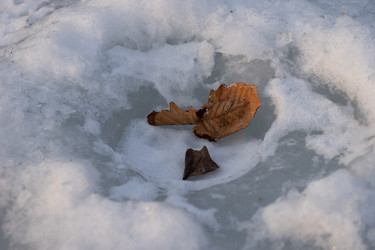 Similar image 21200932