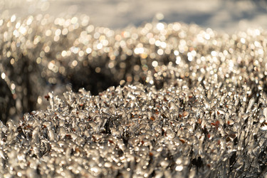 Similar image 21200640