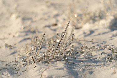 Similar image 21200936