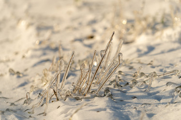 Similar image 21200642