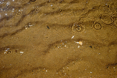 Similar image 21200653