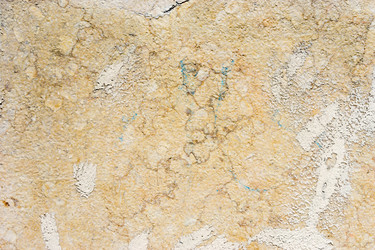 Similar image 21200939