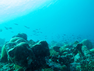 Similar image 21200696