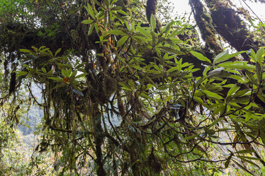 Similar image 21200706