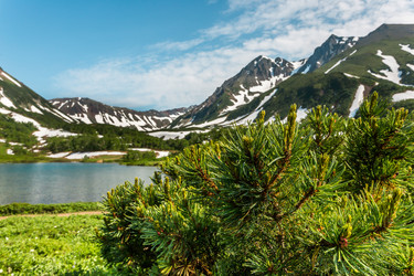 Similar image 21200738