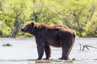 Similar image 21200742