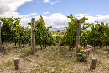 Similar image 21200745