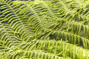 Similar image 21200747