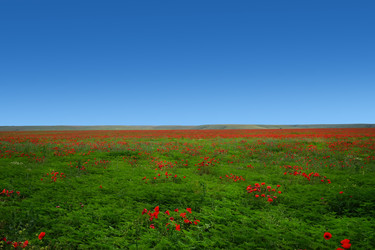 Similar image 21200766