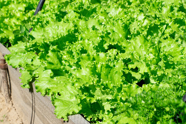 Similar image 21201880