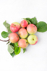 Similar image 21202536