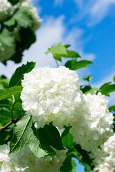 Similar image 21201916