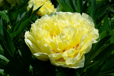 Similar image 21202538