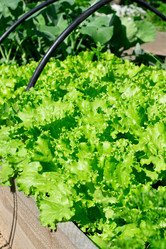 Similar image 21201153