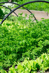 Similar image 21201888