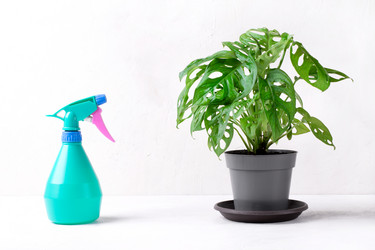 Similar image 21200687