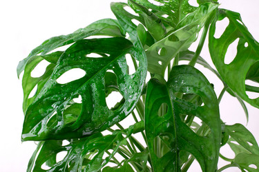 Similar image 21201312