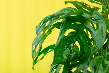 Similar image 21201313