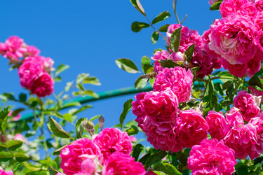 Similar image 21200689