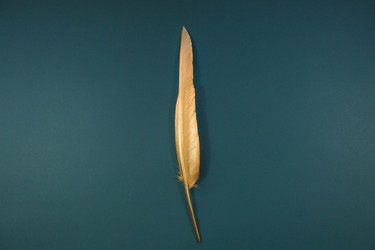 Similar image 21201158