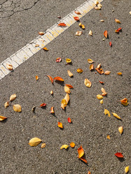 Similar image 21200728