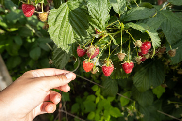 Similar image 21200731