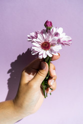 Similar image 21200732