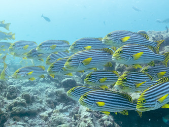 Similar image 21200734