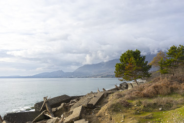 Similar image 21202812