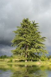 Similar image 21202819