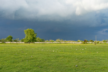 Similar image 21202821