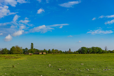 Similar image 21202823