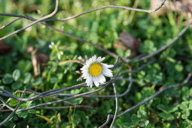 Similar image 21202853