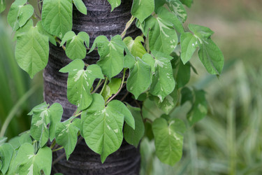 Similar image 21202856