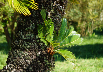 Similar image 21202858