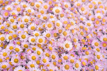 Similar image 21202864