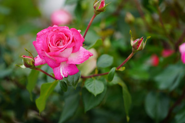 Similar image 21202868