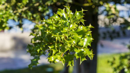 Similar image 21202872