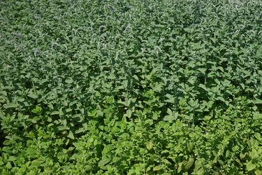 Similar image 21202873