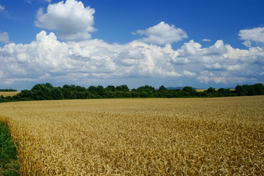 Similar image 21202881